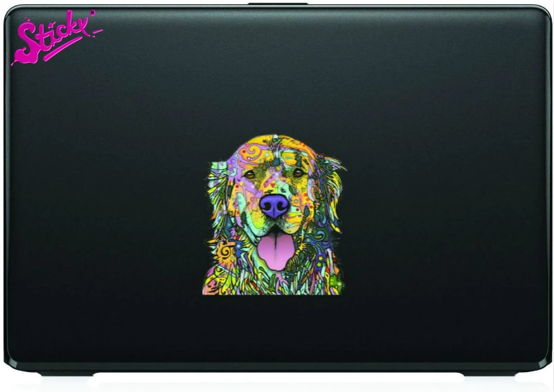 Липкий прекрасный подходит для породы золотистый ретривер со вставкой