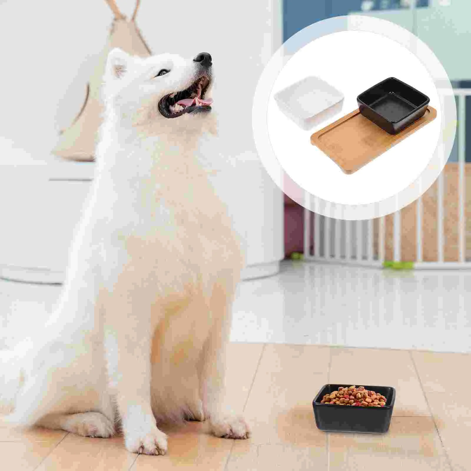 

1 Set of Professional Pet Bowls Skid-proof Cat Food Water Container Serving Pet Bowls