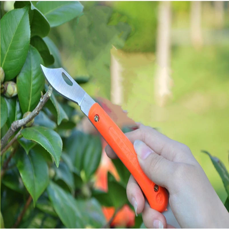 

Gardening Folding Knife Bud Grafting Knife Grafting Knife Fruit Tree Grafting Tool Forest Wood Grafting Pruning Knife Tool