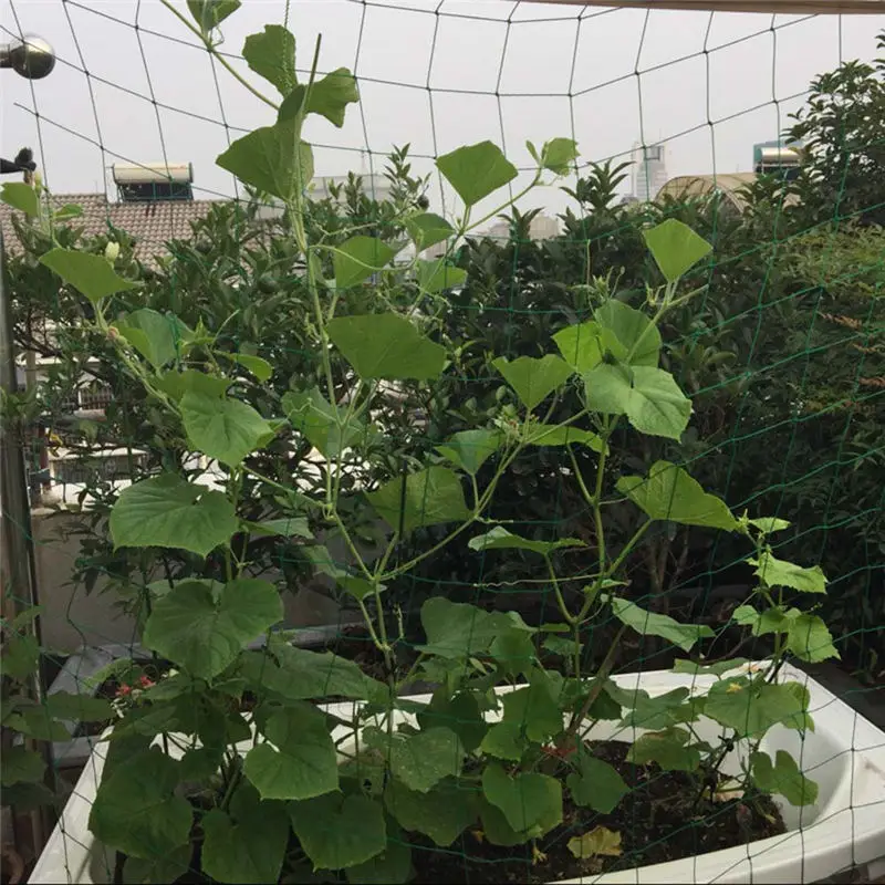 Нейлоновые цветы сетка для растений скалолазание поддержка искусственного