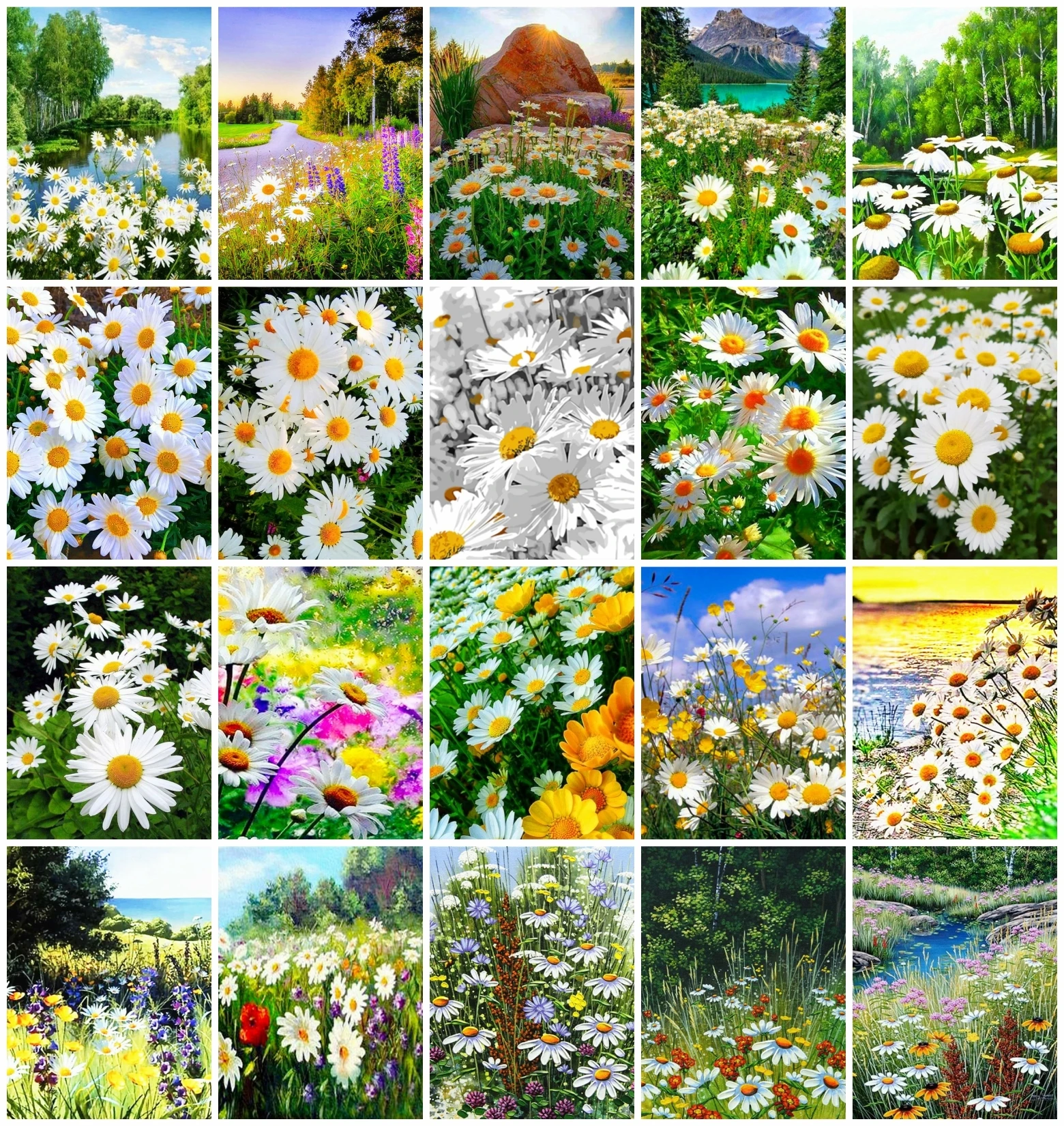 

AZQSD Diy Painting By Numbers Daisy Coloring Acrylic Paint On Canvas Picture By Numbers Flower Landscape Home Decor Diy