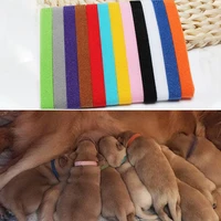 12 pcsset puppy newborn pets identify collars adjustable nylon dog collars kitten necklace puppy collars dog leash necklace