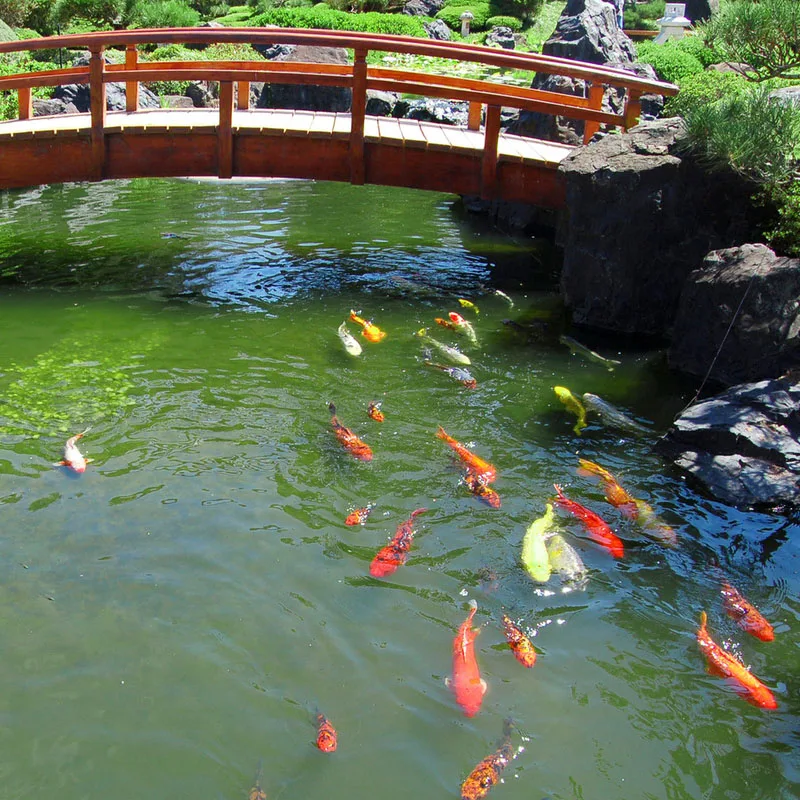 

20pcs Floating Pond Protectors Plastic Net Fish Guard Grid Cover for Birds Pests J8