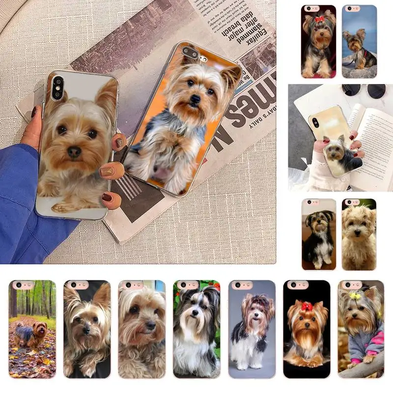 

Yorkshire Terrier Dog Phone Case for iPhone 11 12 13 mini pro XS MAX 8 7 6 6S Plus X 5S SE 2020 XR case