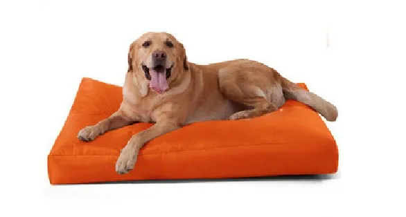 Оранжевая Водонепроницаемая профессиональная и ведущая производственная