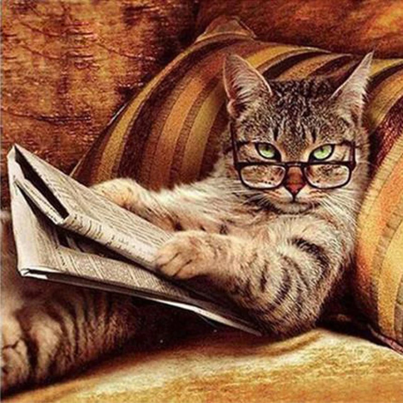 5D алмазная живопись сделай сам с котом полная круглая Алмазная вышивка картина