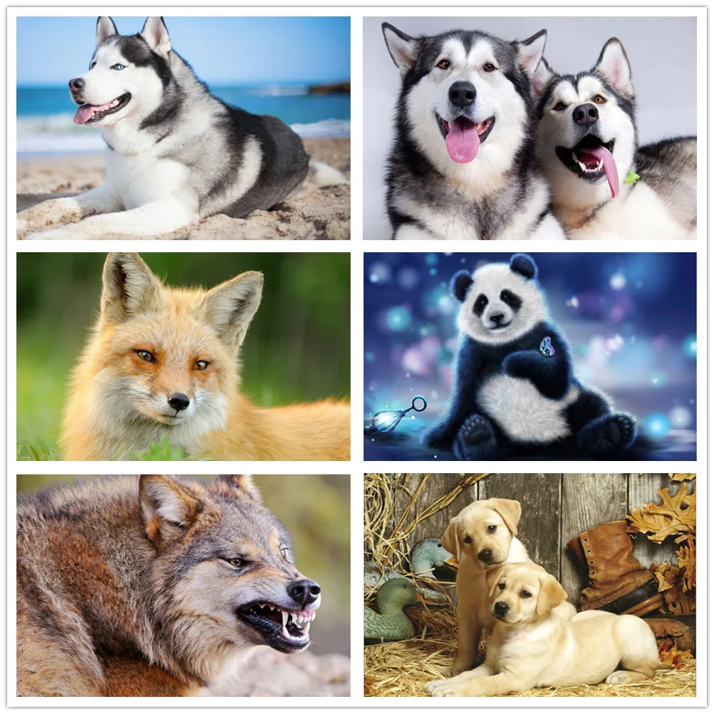 

Diamond Painting Cross Stitch Round Full Rhinestones Animal Dogs Posters Home Decor Gift Wall Decoration Embroidery Sewing Photo