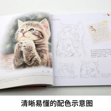 

Chinese pencil drawing book Cute Damask Animals color pencil painting textbook Tutorial art book