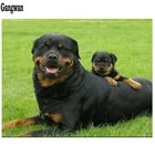 Алмазная картина Rottweiler с собакой, алмазная вышивка сделай сам, вышивка крестиком стразы, мозаика с милым питомцем, квадратная картина 5D, домашний декор