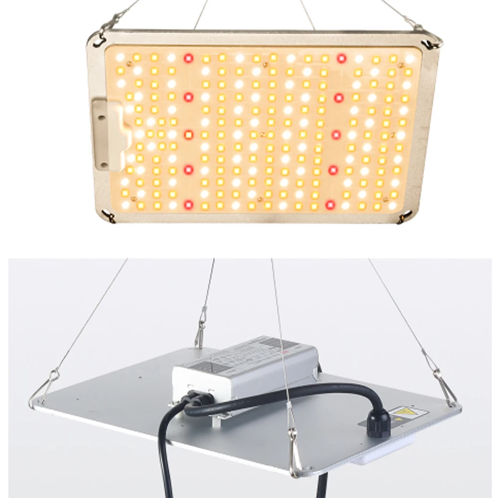 Full Spectrum 120W 240W 450W Quantum LED Grow Lights Board Samsung LM301B SK 3000K 5000K 660nm IR for Greenhouse |