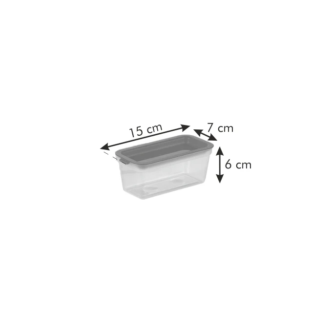 Tescoma PURITY 300 ml mini freezer containers 2 pcs 891876 | Дом и сад