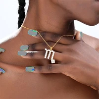 12 constellations zircon necklace for women men aquarius leo aries taurus gemini cancer virgo libra scorpio pisces jewelry
