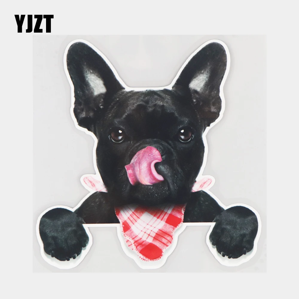 

YJZT 16×16.4CM Hungry French Bulldog Cute Animal Car Sticker Fashion Scratch Occlusion Waterproof Decal 21A-0269