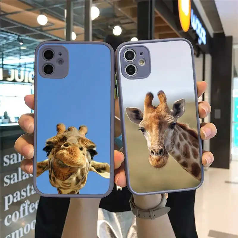 

giraffe animal cute lovely Phone Case Matte Transparent for iPhone 7 8 11 12 s mini pro X XS XR MAX Plus cover funda