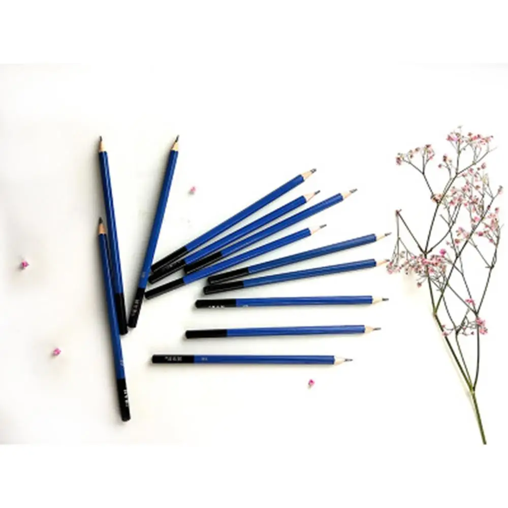 

SOLEDI 12pcs Portable Painting Tool Set Art Supplies Student Pencil Professional Sketch Pencil Stationery Graffiti Drawing