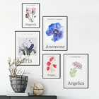 Акварельные Цветы на холсте картина Poppy Anemone Настенная картина цветочный ботанический плакат Принт для гостиной домашний декор