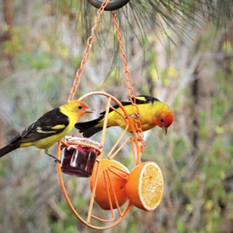 

Hummingbird Feeder Outdoor Garden Metal Hanging Hummingbird Feeder Fruit Berry Bird Feeder Garden Yard Decorative E7