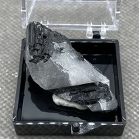 rare natural black tourmaline quartz crystal mineral specimen healing s20