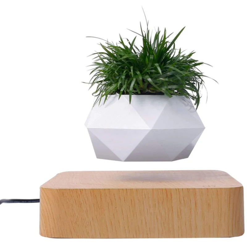 

Creative Magnetic Levitation Plant Potted Home Living Room Office Desktop Decoration Ornaments Green Plants Appreciation