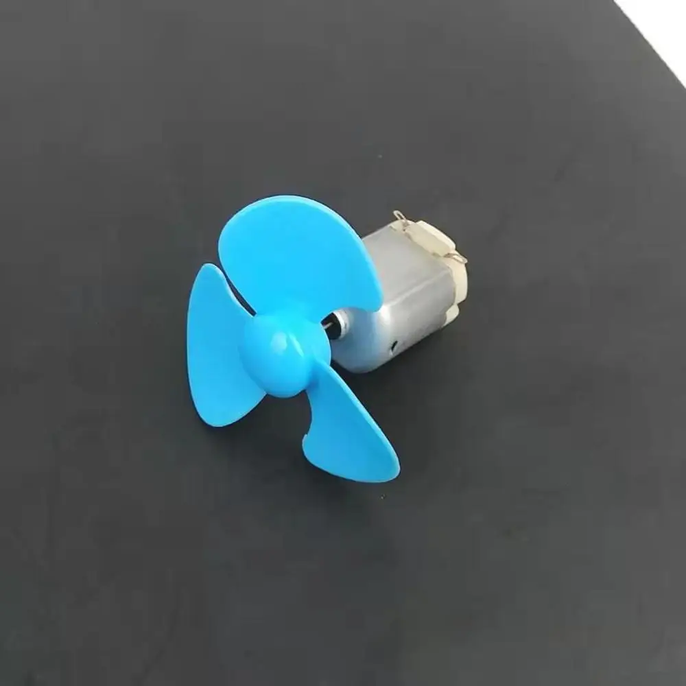 Fan Leaf