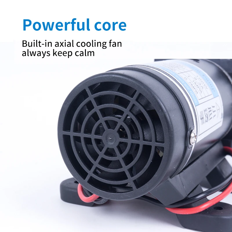 12V 24V 120W 10L/мин миниатюрный высокого Давление мембранный насос с автоматическим выключателем с обратным течением Многофункциональный насос работающий на постоянном токе