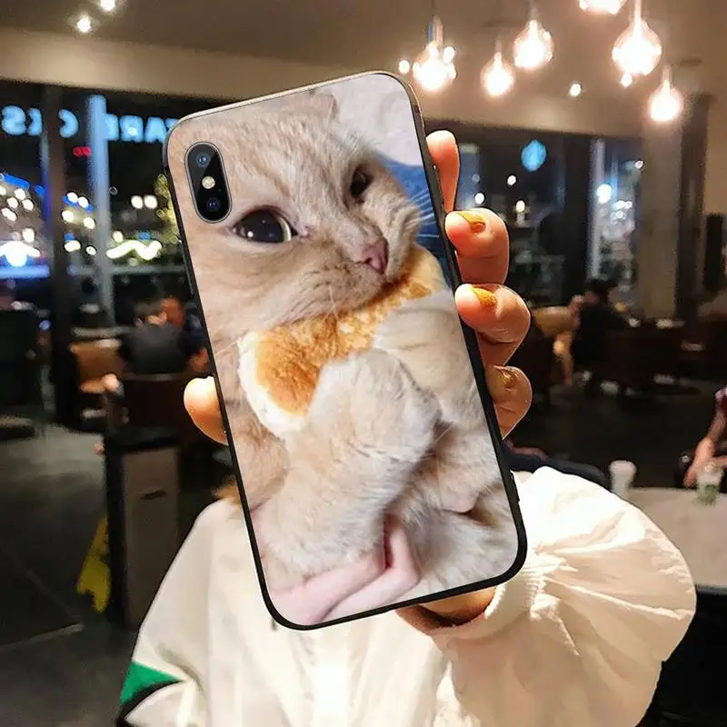 

Funny cute cat Phone Case for iPhone 11 12 pro XS MAX 8 7 6 6S Plus X 5S SE 2020 XR