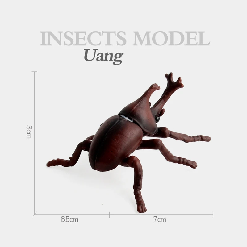 

10PCS Simulation Insect Model Toys Children's Insect Statuette Home Ornaments Kids Cognitive Educational Toys
