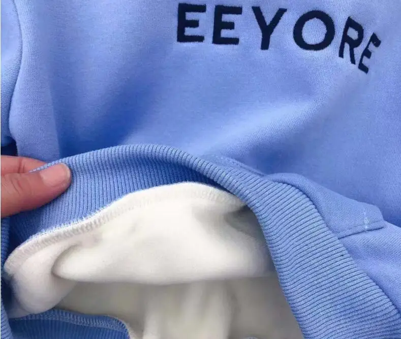 

New Toddler Baby Kids Boys Girls Embroidery Cartoon Duck Pattern Thick Kids Hoodies Cute Baby Girls Hooded Sweatshirt for Boys
