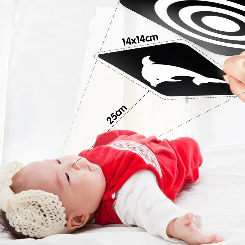 High Contrast Visual Stimulation Learning Flashcards for Kids - Baby Montessori Toys Black and White image 3