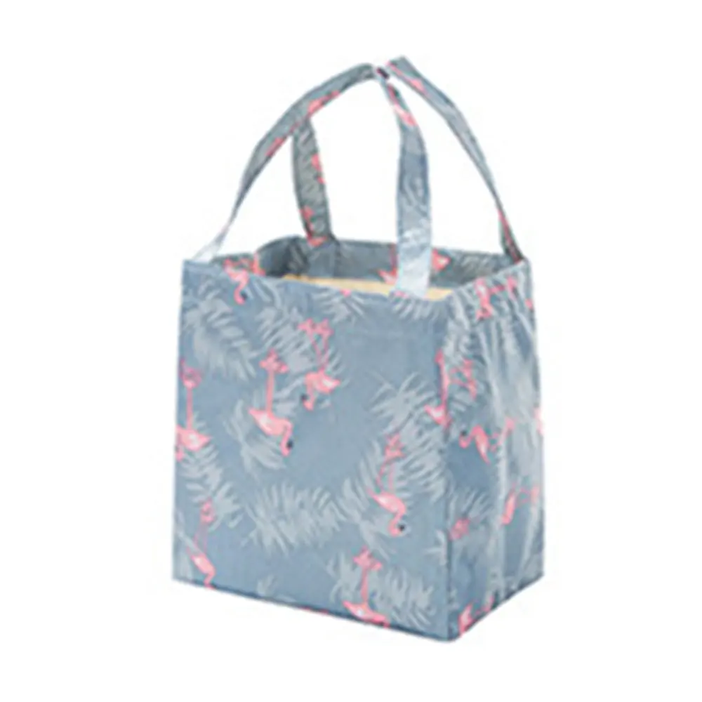 Дорожная сумка для еды фруктов бенто хранения пикника Ланч бокс тоут с рисунком