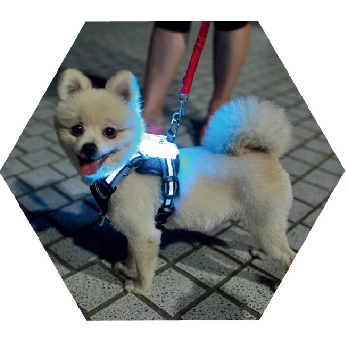 

led cc simon usb rechargeable dog harnesses Manufacturer wholesale outdoor nylon adjustable custom pet accessories