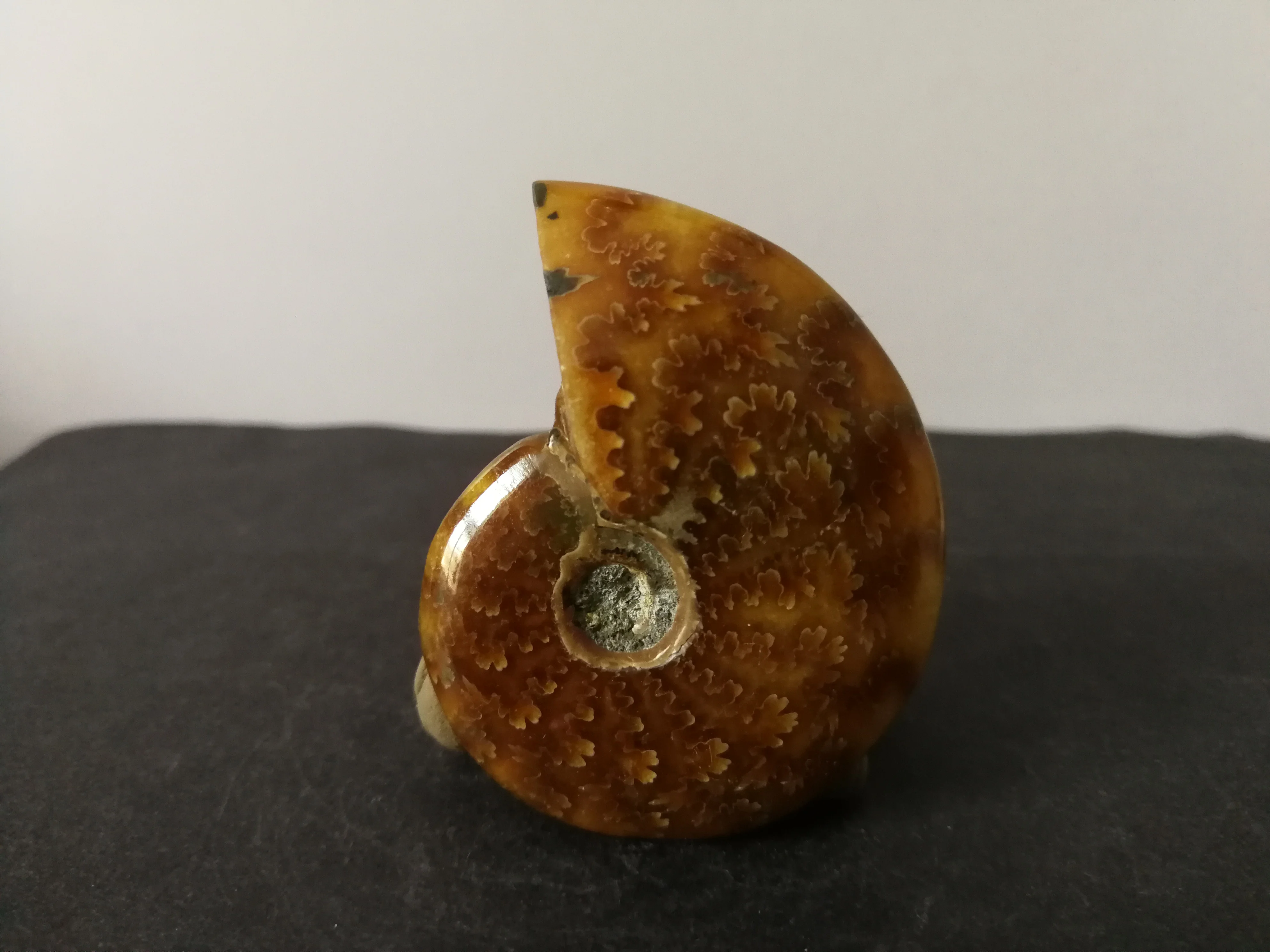 45 7 gNatural аммонита с украшением в виде кристаллов образец кварца энергии исцеления