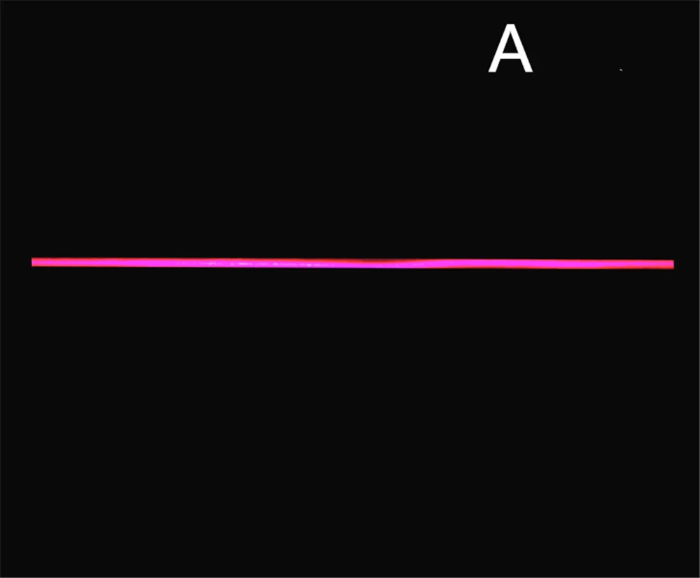 2019 личности-фонарь для мотоцикла лазерный противотуманный фонарь YAMAHA MT-03 MT-25 FAZER600