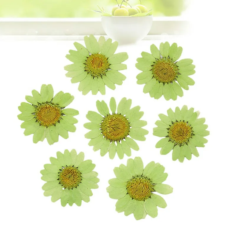 30 шт окрашенные белого цвета с украшением в виде кристаллов и принтом хризантем