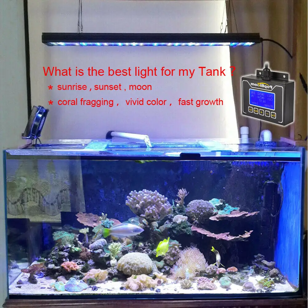 PopBloom светодиодный светильник s аквариум морской Светодиодный для аквариума 80 100