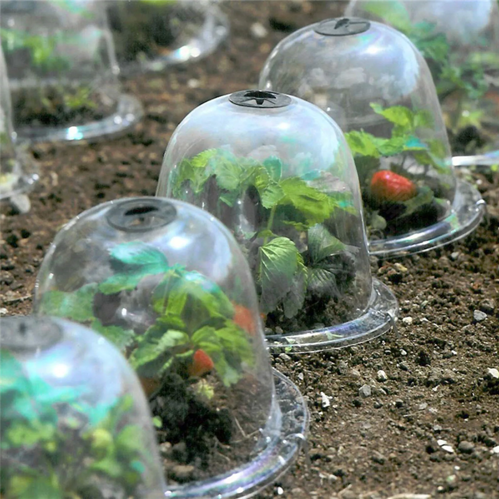 

8pcs Reusable Plastic Greenhouse Garden Cloche Dome Plant Covers Frost Guard Freeze Protection