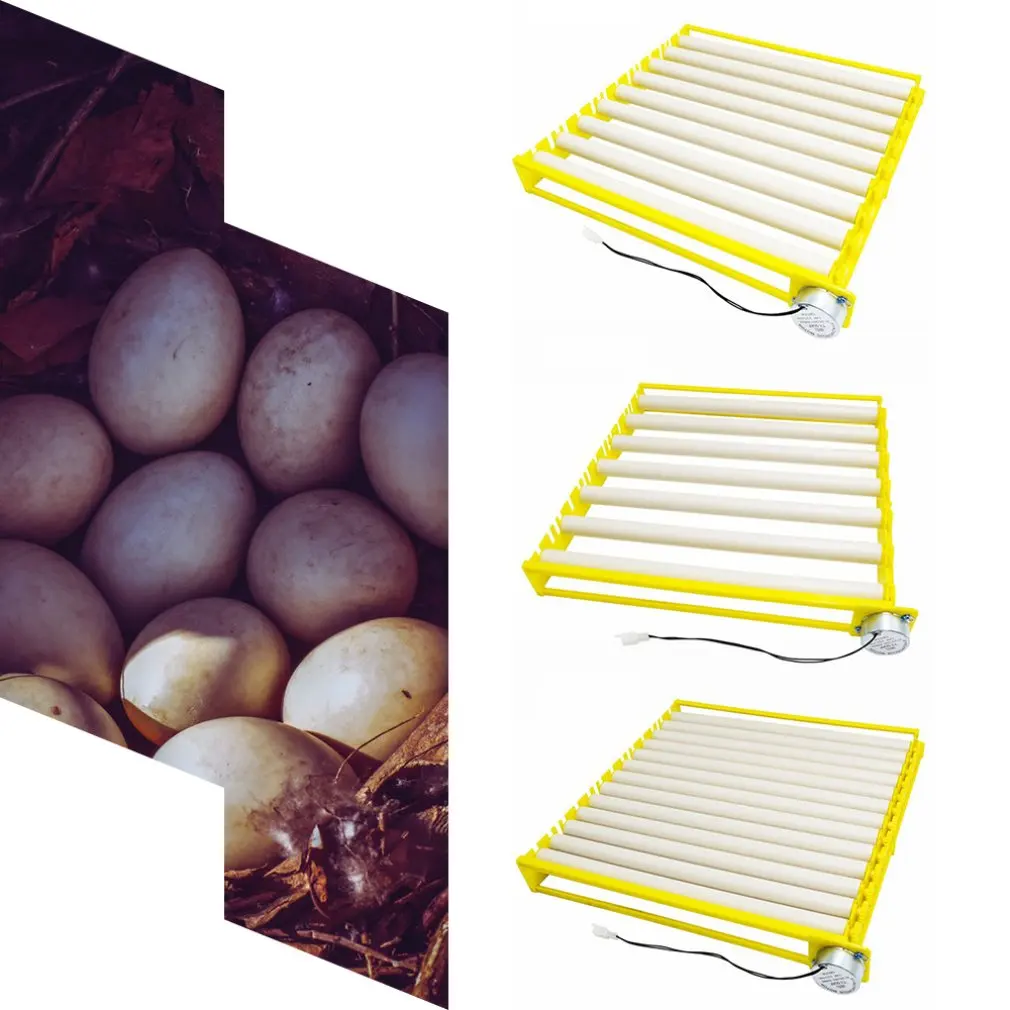 

Plastic Eggs Incubator Accessories Durable Rotary Automatic Roller Pattern Egg Turner Tray Household Egg Tray
