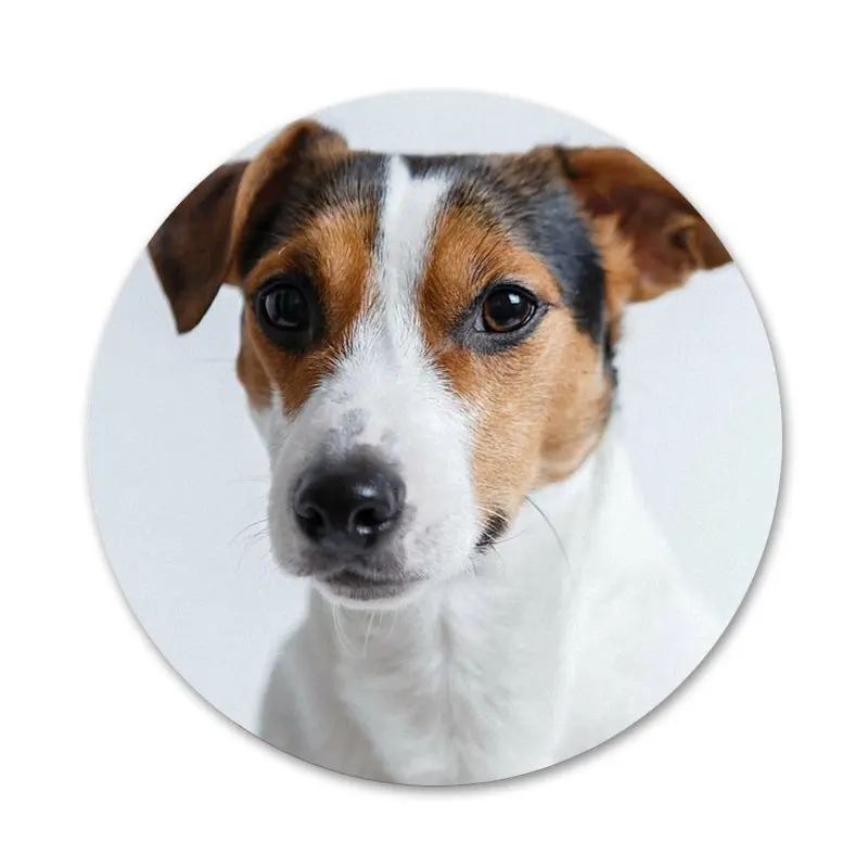 Новое поступление Джек Рассел-терьер фотосессия украшение для одежды рюкзака