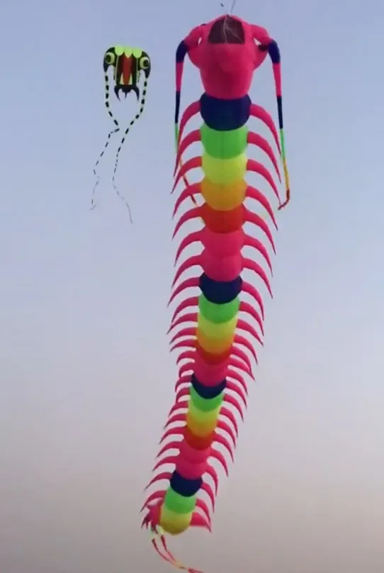 Большой Радужный 3d воздушный змей для взрослых летающие воздушные змеи windsock