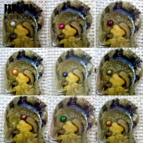 Индивидуально обернутые 1 30 шт/устрицы большие с жемчугом подарки на день