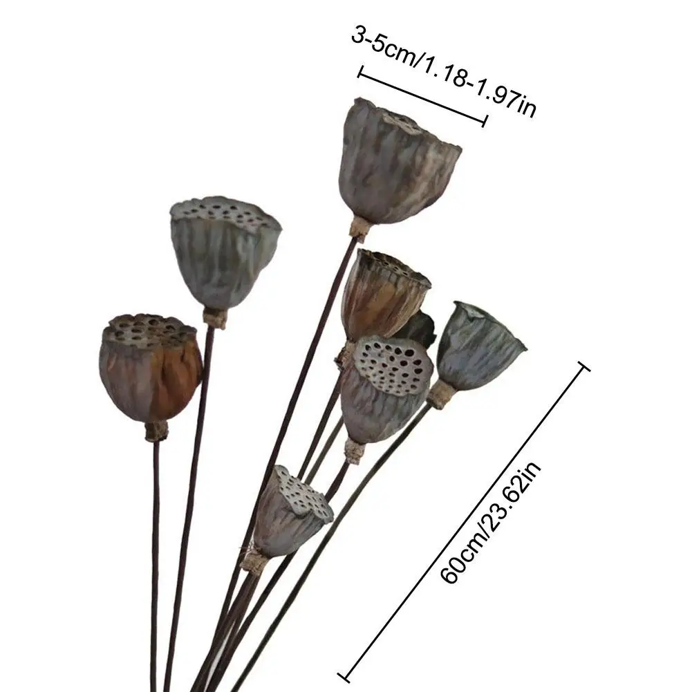 5 шт. натуральный сушеный цветок лотоса украшение для свадебной вечеринки