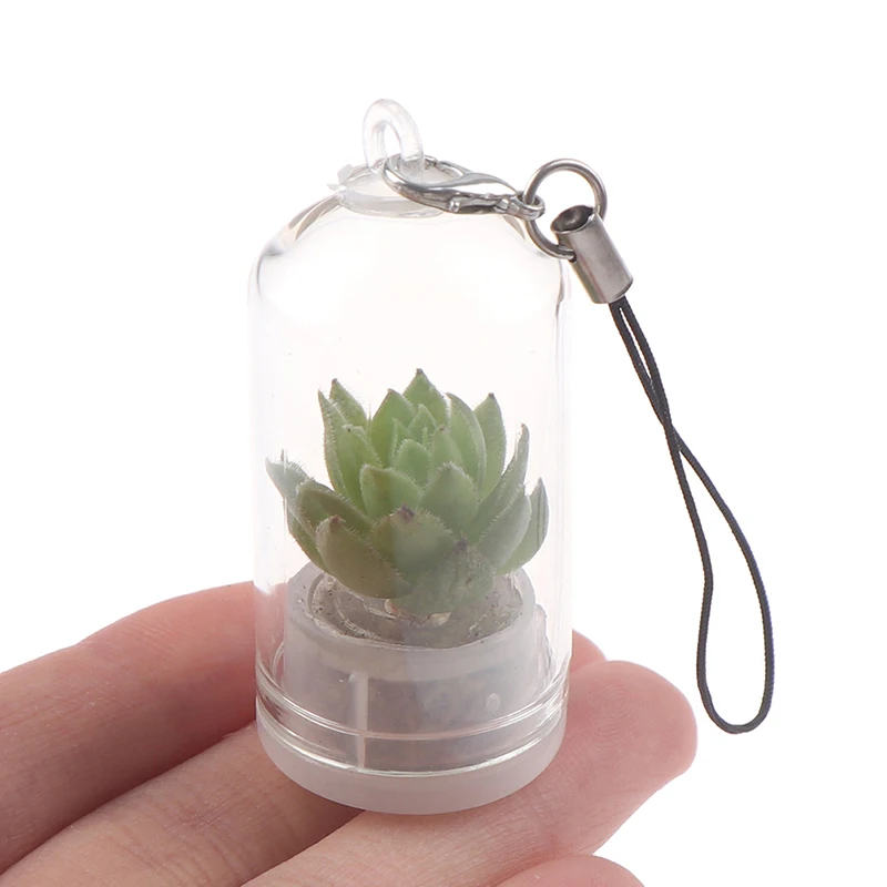 Кактус миниатюрный кактус Террариум носимый ожерелье DIY суккулент подвеска