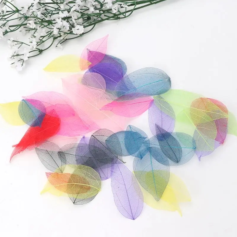 

50 Pcs Mixed Color Natural Skeleton Leaves Pressed Flower for Jewelry Making