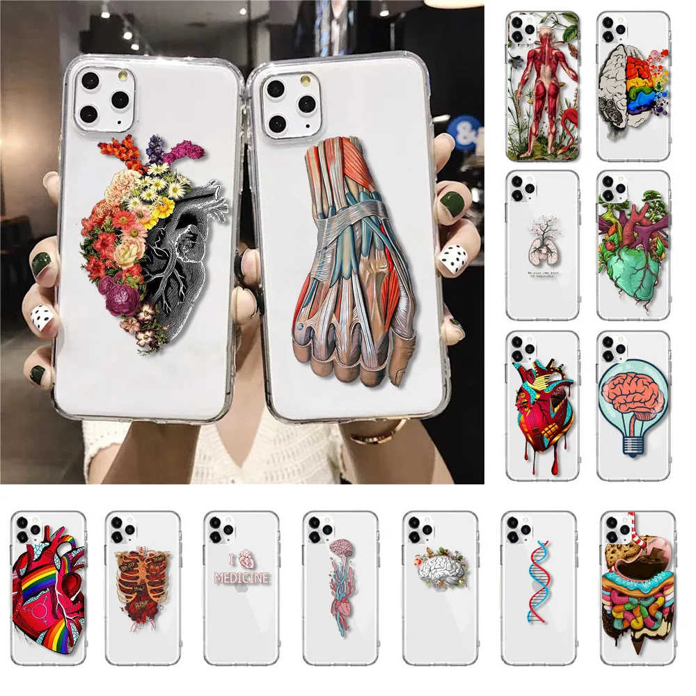 

Medical Human Organs Brain Meridian Kidney Phone Case For iPhone 12 X XS XR XS Max 11 Pro Max 8 7 6 6S Plus SE2 5 5S SE