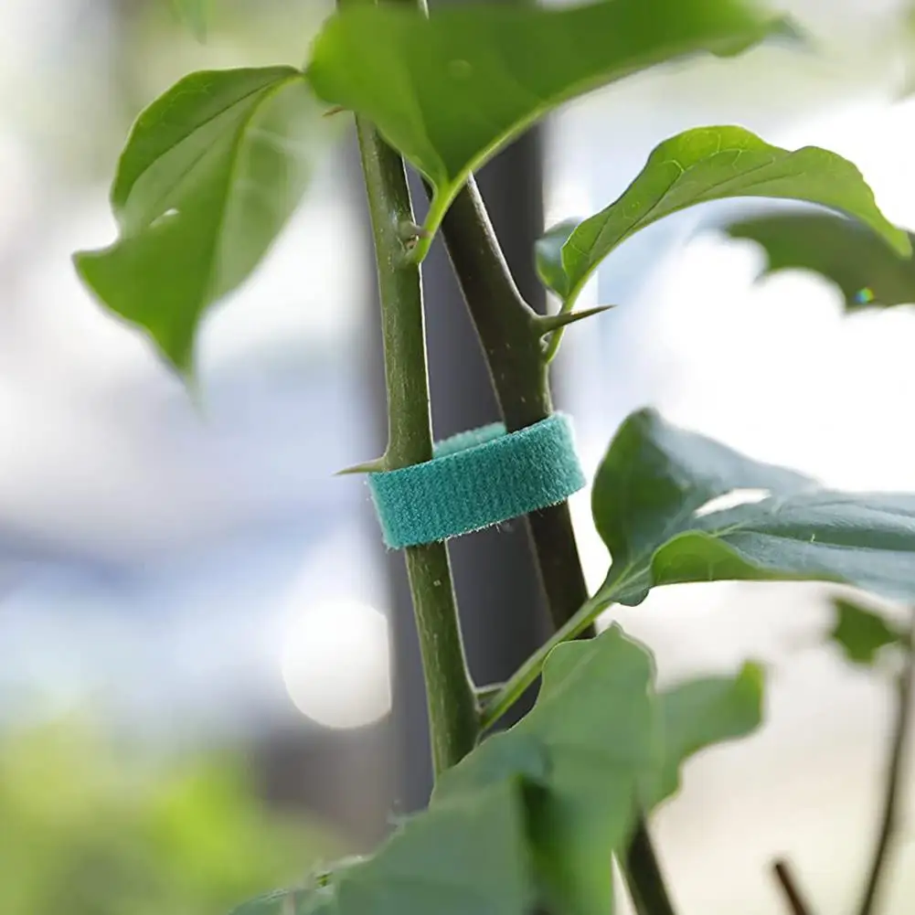 

1 Roll Attractive Anti-wear Nylon Ribbon Strap Tie Strap Nylon Anti-wear