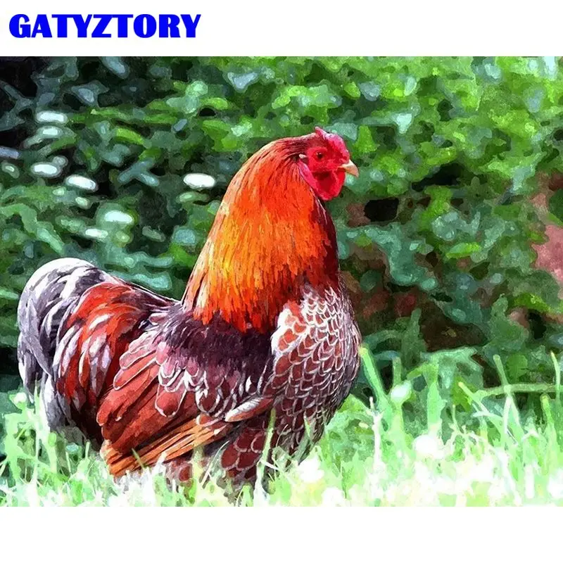 

GATYZTORY Picture By Numbers Rooster On The Grass Acrylic Drawing Canvas Wall Art Oil Painting By Number Animal Diy Home Decor G