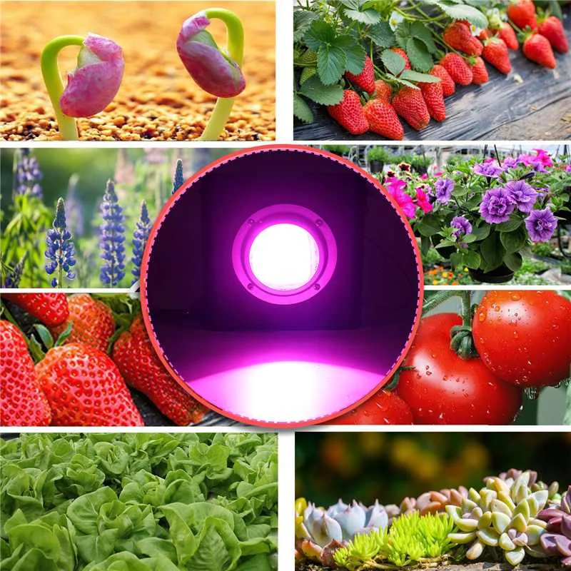 

New 3000W COB LED Grow Light Full Spectrum 4000K for Indoor Outdoor Hydroponic Greenhouse Plant Growth Lighting lamp Waterproof