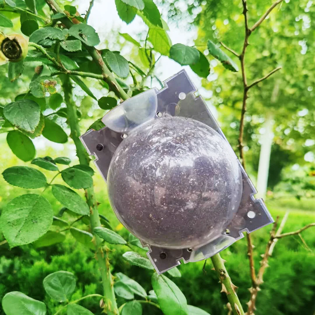 Шар для укоренения растений 5 шт. | Дом и сад