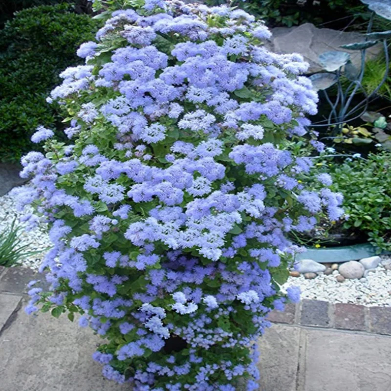 

Plant Tower Garden Plant Container Freestanding Flower Tower Standing Plant Flower Tower Garden Plant Container