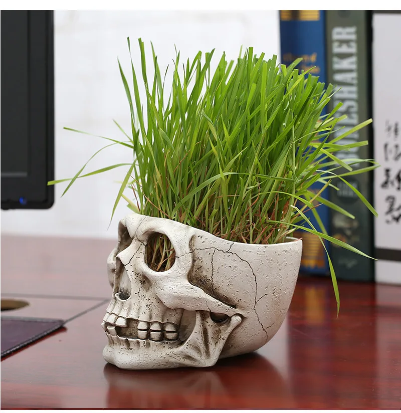Ancient Skull Pot Bonsai Creative Decoration Succulent Plants Flower Holiday Party Atmosphere Decorate Micro Landscape | Дом и сад